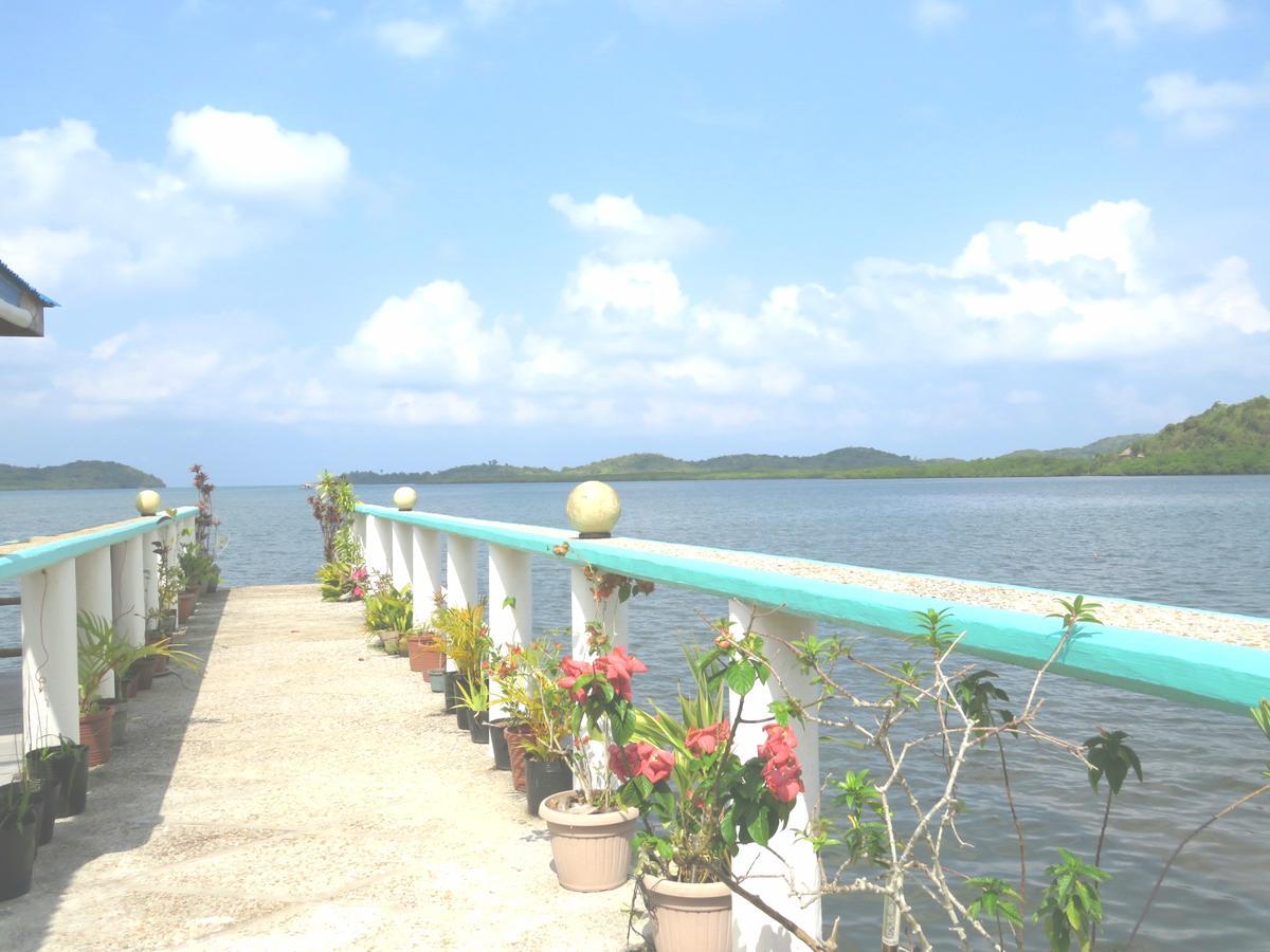 Bella Louise Lodging House Bar And Resto Busuanga Luaran gambar